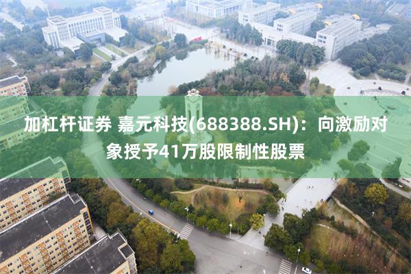 加杠杆证券 嘉元科技(688388.SH)：向激励对象授予41万股限制性股票