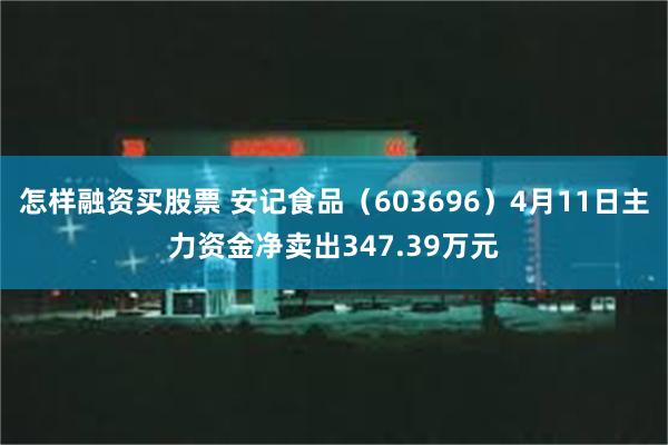 怎样融资买股票 安记食品（603696）4月11日主力资金净卖出347.39万元
