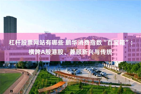 杠杆股票网站有哪些 鹏华消费指数“百宝箱”：横跨A股港股、兼顾新兴与传统