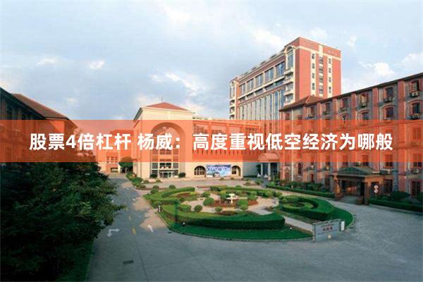 股票4倍杠杆 杨威：高度重视低空经济为哪般