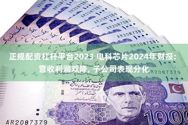 正规配资杠杆平台2023 电科芯片2024年财报: 营收利润双降, 子公司表现分化