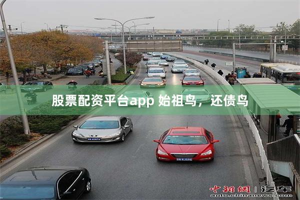 股票配资平台app 始祖鸟，还债鸟