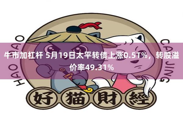 牛市加杠杆 5月19日太平转债上涨0.51%，转股溢价率49.31%