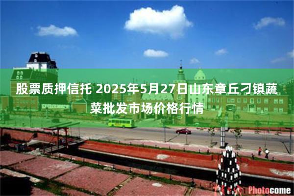 股票质押信托 2025年5月27日山东章丘刁镇蔬菜批发市场价格行情