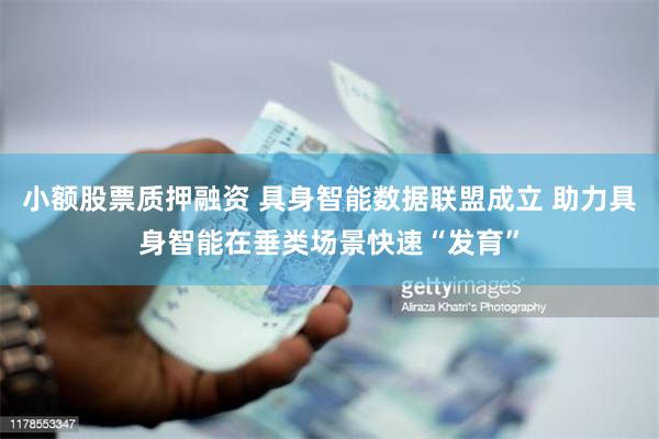小额股票质押融资 具身智能数据联盟成立 助力具身智能在垂类场景快速“发育”