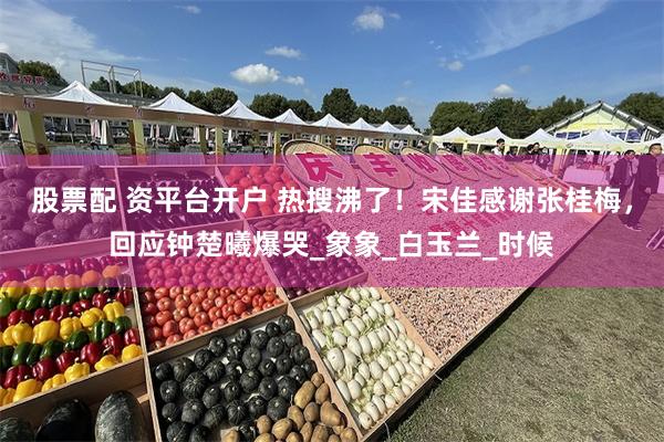 股票配 资平台开户 热搜沸了！宋佳感谢张桂梅，回应钟楚曦爆哭_象象_白玉兰_时候