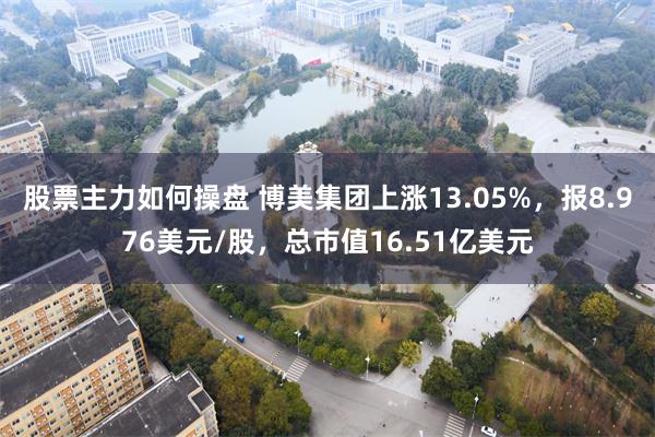 股票主力如何操盘 博美集团上涨13.05%，报8.976美元/股，总市值16.51亿美元