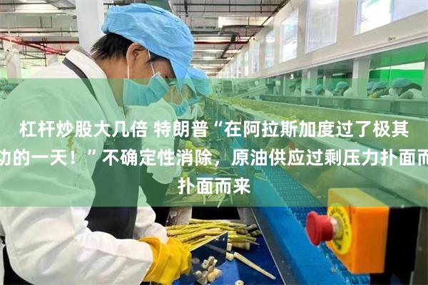 杠杆炒股大几倍 特朗普“在阿拉斯加度过了极其成功的一天！”不确定性消除，原油供应过剩压力扑面而来