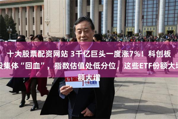 十大股票配资网站 3千亿巨头一度涨7%！科创板股集体“回血”，指数估值处低分位，这些ETF份额大增